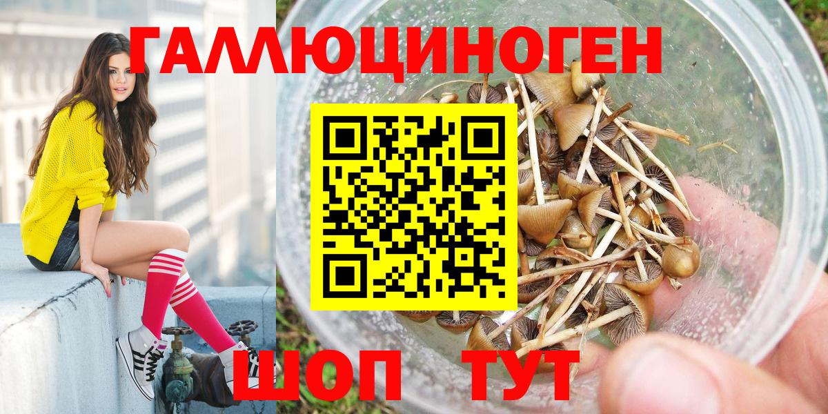 Галлюциногенные грибы ЛСД  Вход с VPN  Бийск 