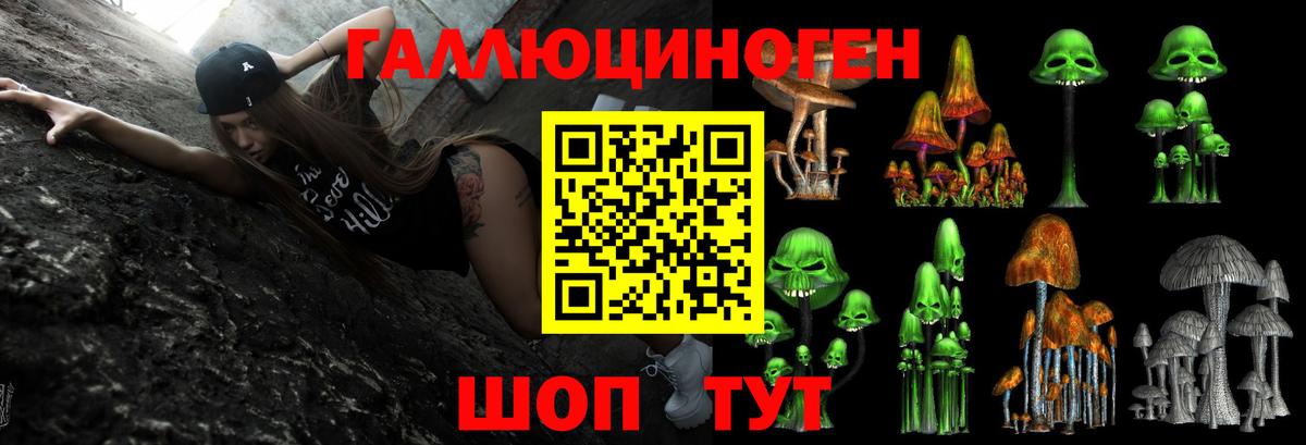 Псилоцибиновые грибы GOLDEN TEACHER Бийск